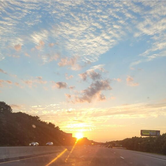 One piece bathing suit - Picture 15 of 15